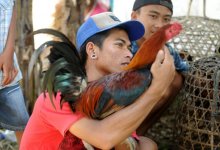 Петух зарезал мужчину лезвием