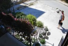 Мужчина среди бела дня украл цветок у женщины в инвалидной коляске в Актау (ВИДЕО)