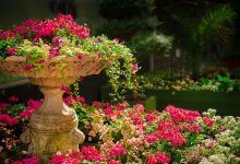 Ботанический сад Алматы временно не будет работать