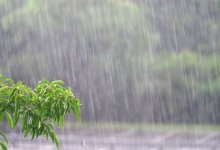 Дожди, грозы и понижение температуры прогнозируют в Казахстане