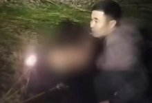 Сутки провела в болоте жительница Астаны