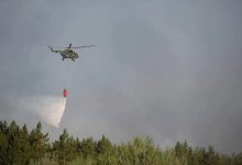 Пожар в горах под Алматы вышел из-под контроля