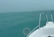 14 человек, в том числе 8 детей, спасены на озере Алаколь