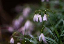 Погода в Алматы, Шымкенте и Астане удивит 5 августа