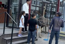 Живого страуса используют для привлечения внимания в донерной Астаны