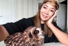 Карагандинка спасла раненую сову и назвала ее Канатик