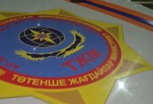 Спасатели помогли летучей мыши вылететь на волю в Астане