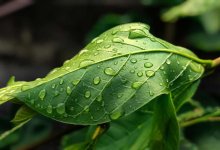 Циклон принесет дожди и грозы в Казахстан