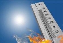 До 39 градусов жары ожидается в Шымкенте