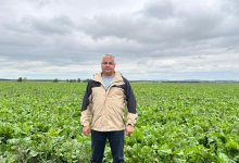 Как льготное топливо и техника помогают фермерам Акмолинской области повысить урожайность