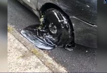 Коммунальщики устроили битумную ловушку в Усть-Каменогорске