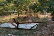 Самозахват сада в Алматы: AMANAT помог местным жителям вернуть земельный участок