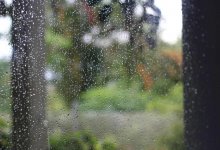 Сильные дожди и понижение температуры прогнозируют в Казахстане