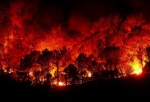 Лесные пожары бушуют по всей Южной Европе