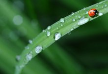 B Acтане рабочая неделя начнется с дождей: прогноз с 18 по 22 августа