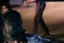 “Не бейте, мне больно”: женщину обнаружили на дороге в центре Караганды