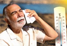 Жара до 32 градусов ожидается в Алматы