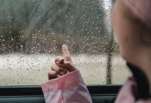 Грозы, шквалы, туман и жара: что ждать от погоды 20 августа