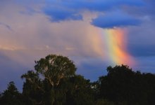 Грозы и шквалы накроют несколько регионов Казахстана