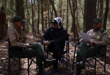 Завершились съемки казахстанского фильма о природе и лесниках