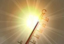 До +37 градусов прогреется воздух в Шымкенте