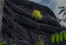 Туристку с переломом ноги спасли в Бурабае