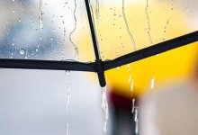 Дождливая погода ждет жителей Астаны