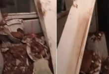 Рухнула ванная комната, трещат стены: жители Атырау бьют тревогу