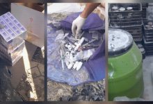 ОПГ наркосбытчиков задержали в Жамбылской области (ВИДЕО)