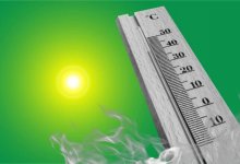 Жара не отступает: +34 градуса ожидается в Шымкенте