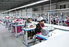 Реализация Послания президента: системные меры и результаты социальной политики в Казахстане