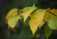 Я календарь переверну, и снова 3 сентября: прогноз погоды в Казахстане