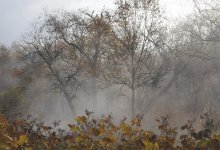 Циклон накроет Казахстан: где ждать заморозков и сильного ветра