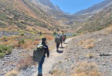 Мужчина трое суток держался на краю скалы в Туркестанской области