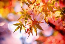 Теплая погода вернется в Астану и Алматы