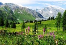 Более 70 надписей со скал в Катон-Карагае стерла семья из Усть-Каменогорска (ВИДЕО)