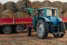 В Казахстане заготовлено 27,6 млн тонн кормов