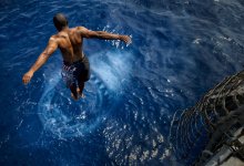 Акула разодрала человека у берегов Сиднея