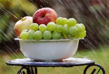 +31 и грозы: какой будет погода на неделе в Алматы