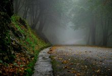 Туман и прохладная погода накроют Астану