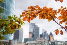 Дожди с грозами и шквалами ожидаются в Казахстане