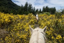 Супружеская пара едет верхом на лошадях в Астану из Китая