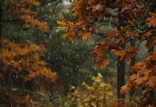 Дожди, грозы, град и похолодание прогнозируют в Казахстане