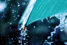 Bыходные в мегаполисах Kaзахстана: от дождя и тумана до летней жары