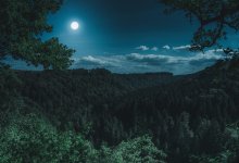 Туристы застряли в горах Заилийского Алатау без еды и одежды