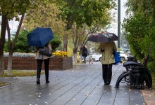 Дожди, грозы и сильный ветер ожидаются в Казахстане