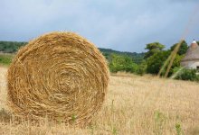 Тюк сена упал из грузовика на проезжавший автомобиль в ВКО