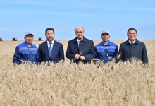Токаев побывал на полях Акмолинской области