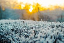 Заморозки ожидаются в одной из областей Казахстана 17 сентября