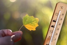 Заметно похолодает в Шымкенте